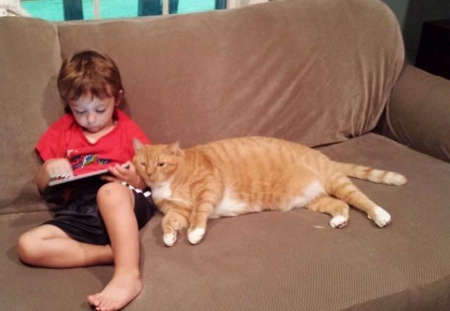 Нежеланный рыжий кот стал охранником мальчика своих хозяев