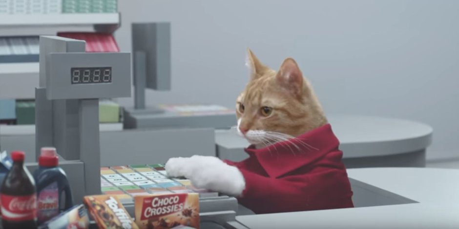 Впечатляющая реклама, в которой кошки исполняют главные роли!