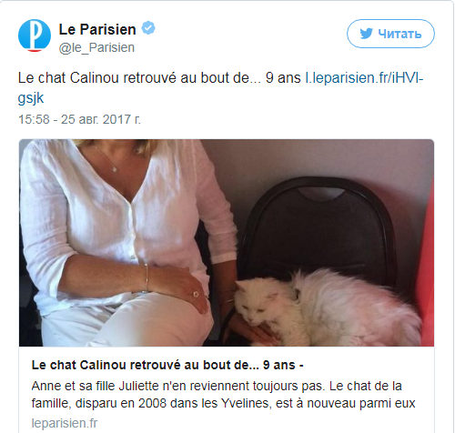 Француженка нашла кошку спустя девять лет после пропажи