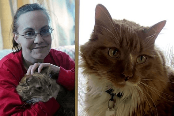 Эти героические коты спасли жизнь своим хозяевам
