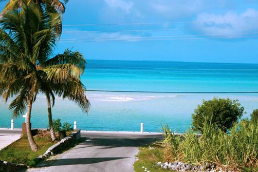 Остров Кэт — кошачий остров на Багамах