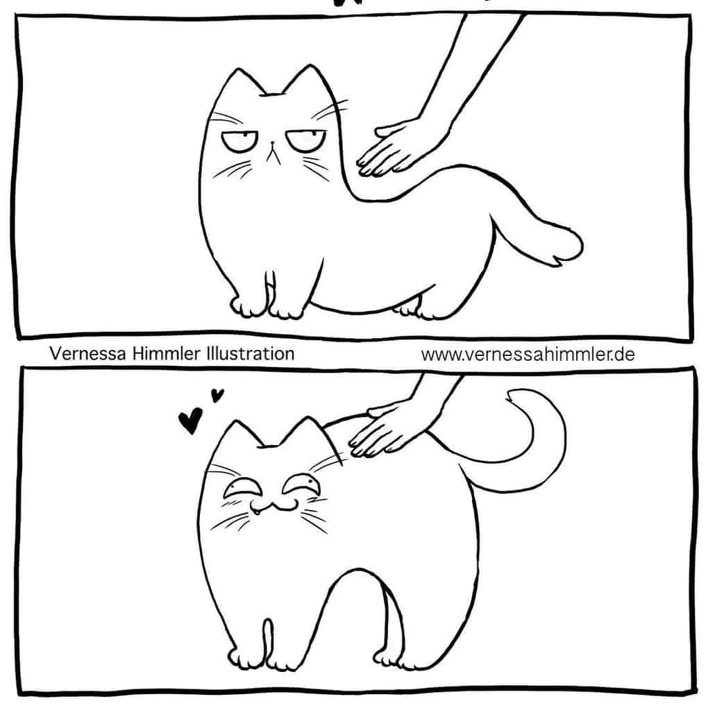 Честные комиксы о том, как живётся человеку, рискнувшему завести кота