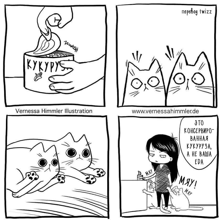 Честные комиксы о том, как живётся человеку, рискнувшему завести кота