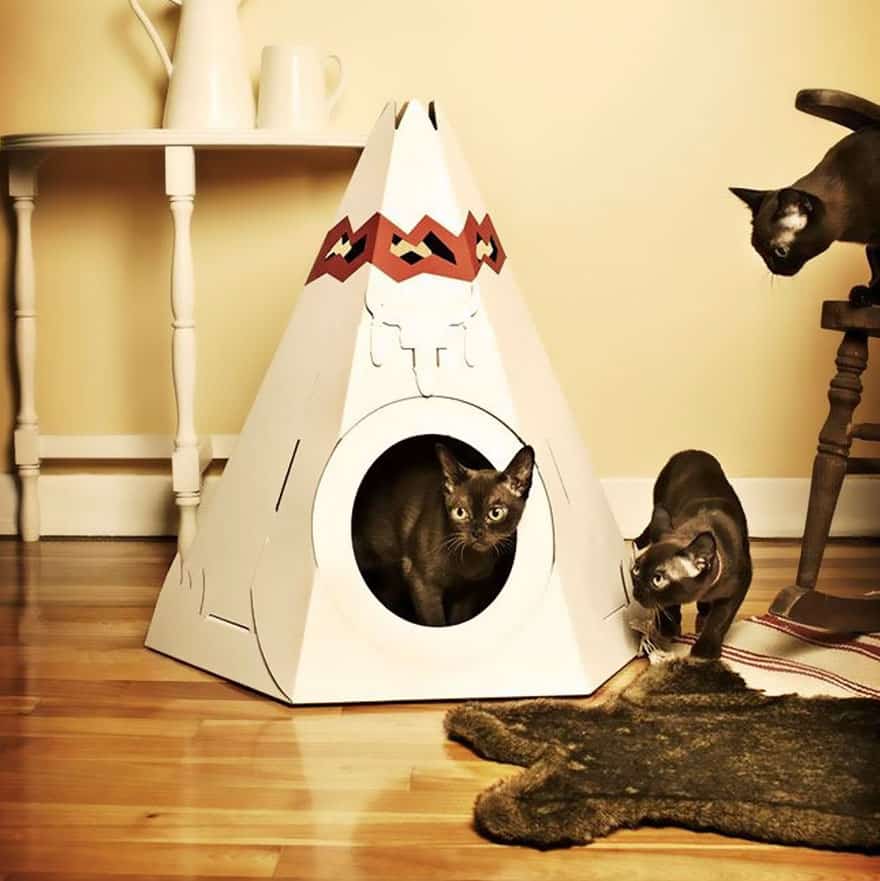7 необычных игрушек для ваших котов