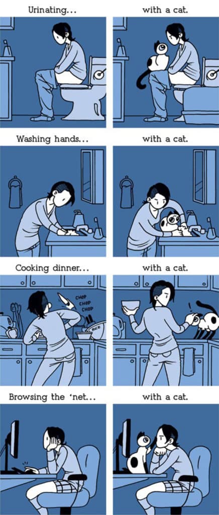 20+ комиксов о реальной жизни с котом
