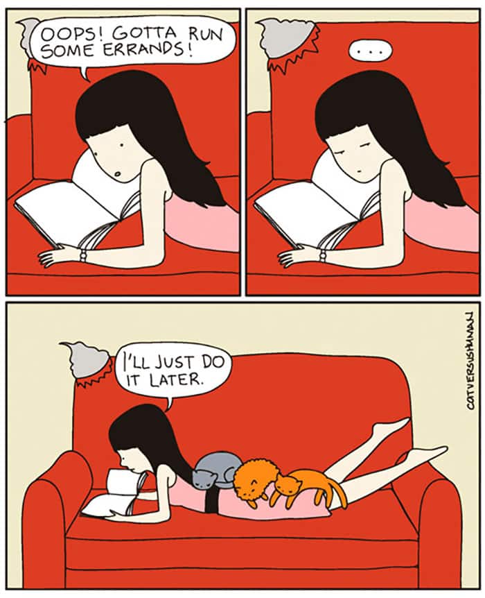20+ комиксов о реальной жизни с котом