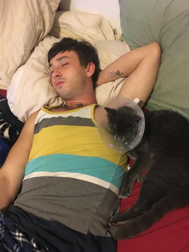 Парень поддержал своего кота после операции необычным способом