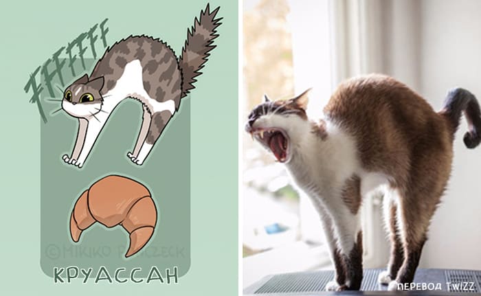 Коты похожие на хлебушек: художница создала серию иллюстраций