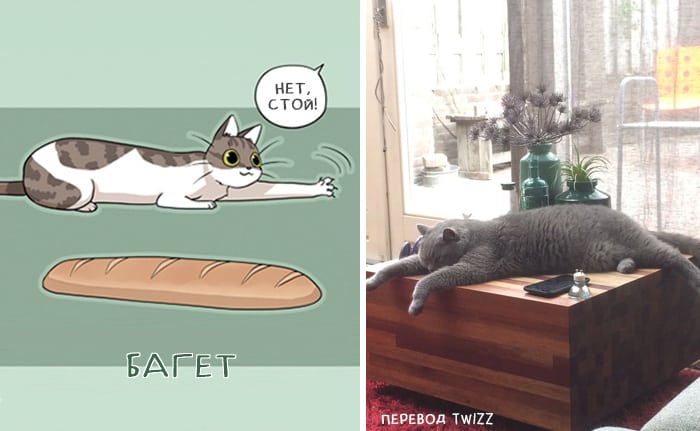 Коты похожие на хлебушек: художница создала серию иллюстраций
