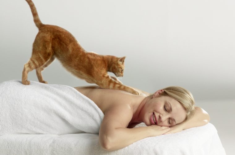 Зачем кошка делает нам «массаж»