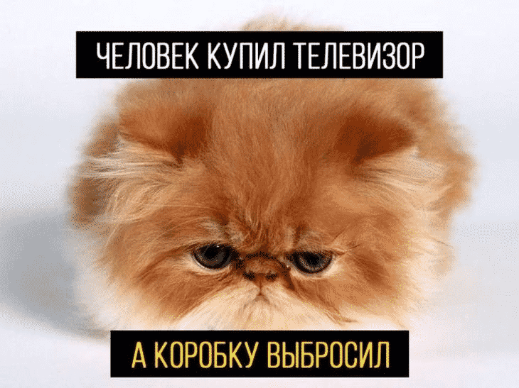 15 кошек. Не грусти мемы с котиками.