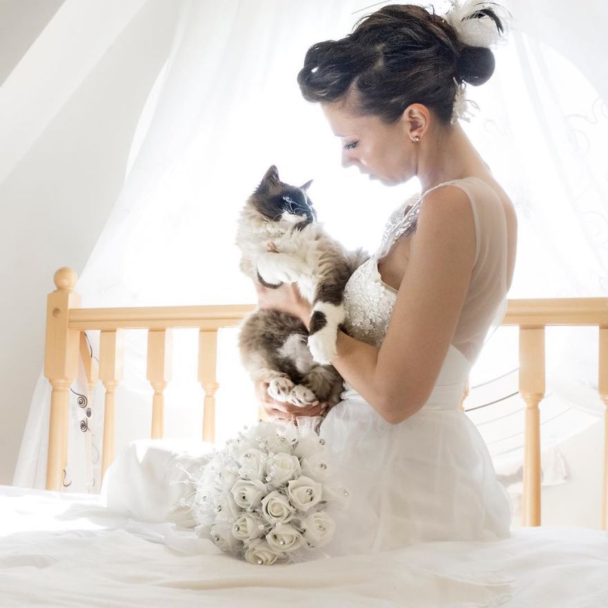 Девушка делает прекрасные пост-свадебные фотографии молодожёнов с котами