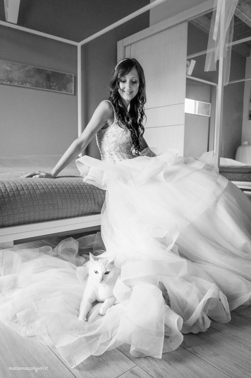 Девушка делает прекрасные пост-свадебные фотографии молодожёнов с котами