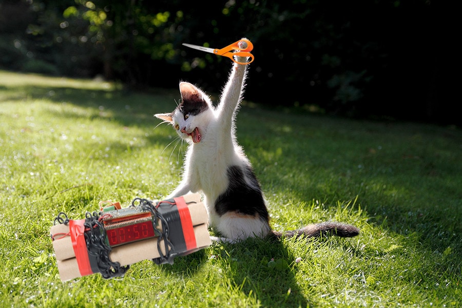 Забавный фотошоп-баттл: центральный персонаж - котик, яростно атакующий воздушный шарик