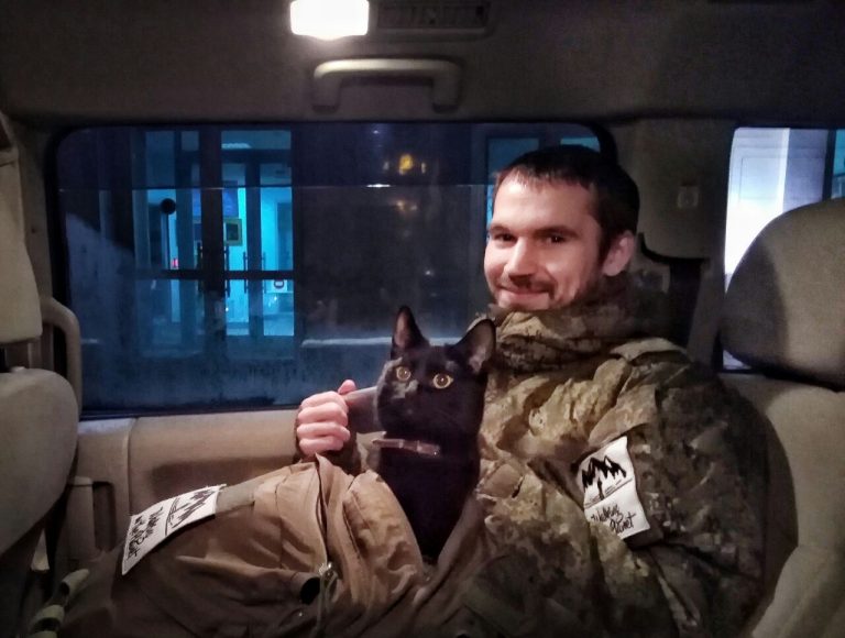 Кот преодолел 10 тысяч километров автостопом от Мурманска до Владивостока