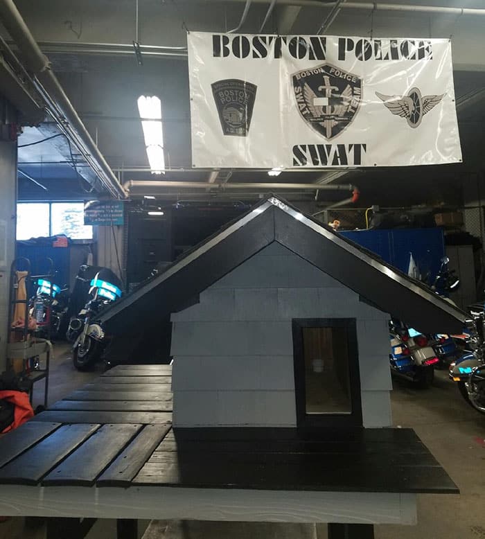 Полицейские построили настоящий дом для кота