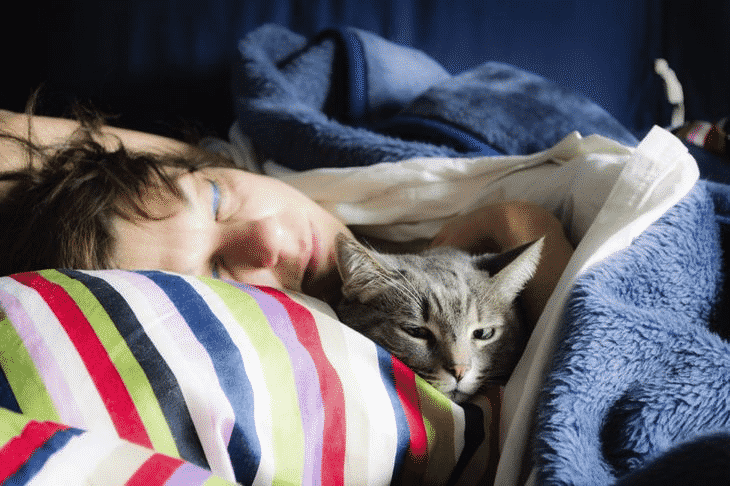 Если кошка любит спать в вашей постели, что это значит