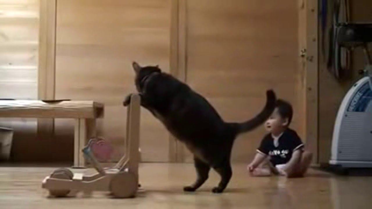 Кошка научила ребенка ходить! Хвостатая нянька