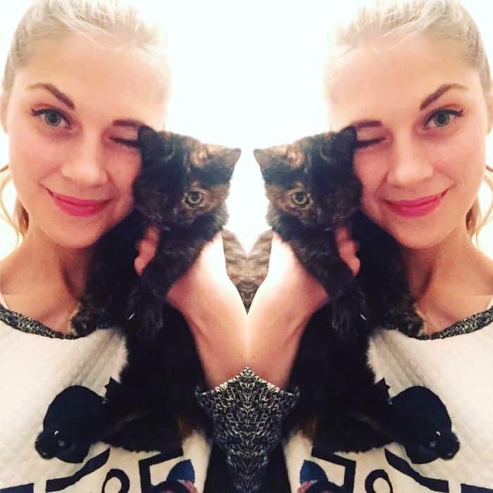 За 2 года девушка из Латвии спасла более 350 бездомных кошек