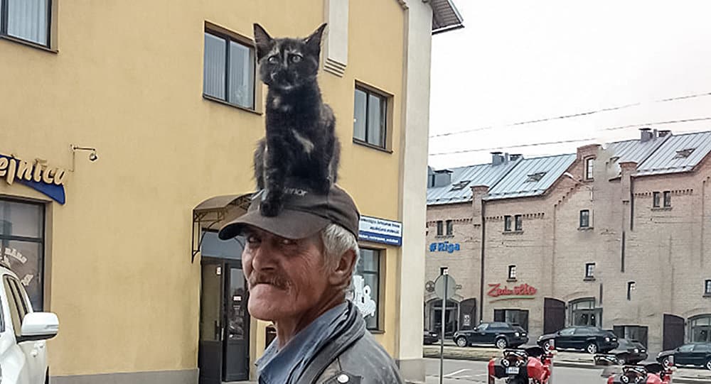 Новая звезда Латвии – мужчина с кошкой на голове