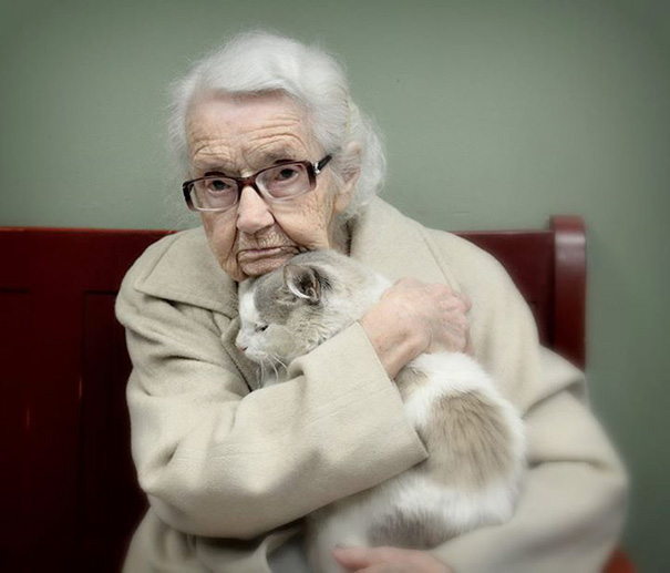 Пожилые кошки, которых приютили великодушные люди