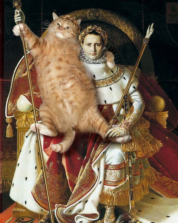 17 доказательств, что рыжий кот Заратустра украсит собой любую картину