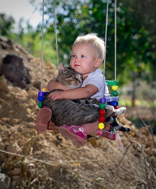 20 причин, почему каждому ребёнку нужен кот