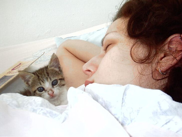 Почему котики обожают спать на людях: убедительные теории ученых