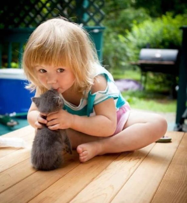 Мило запечатленные отношения детей и котеек