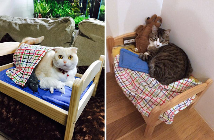 Японские кошатники нашли остроумное применение кукольным кроваткам из IKEA