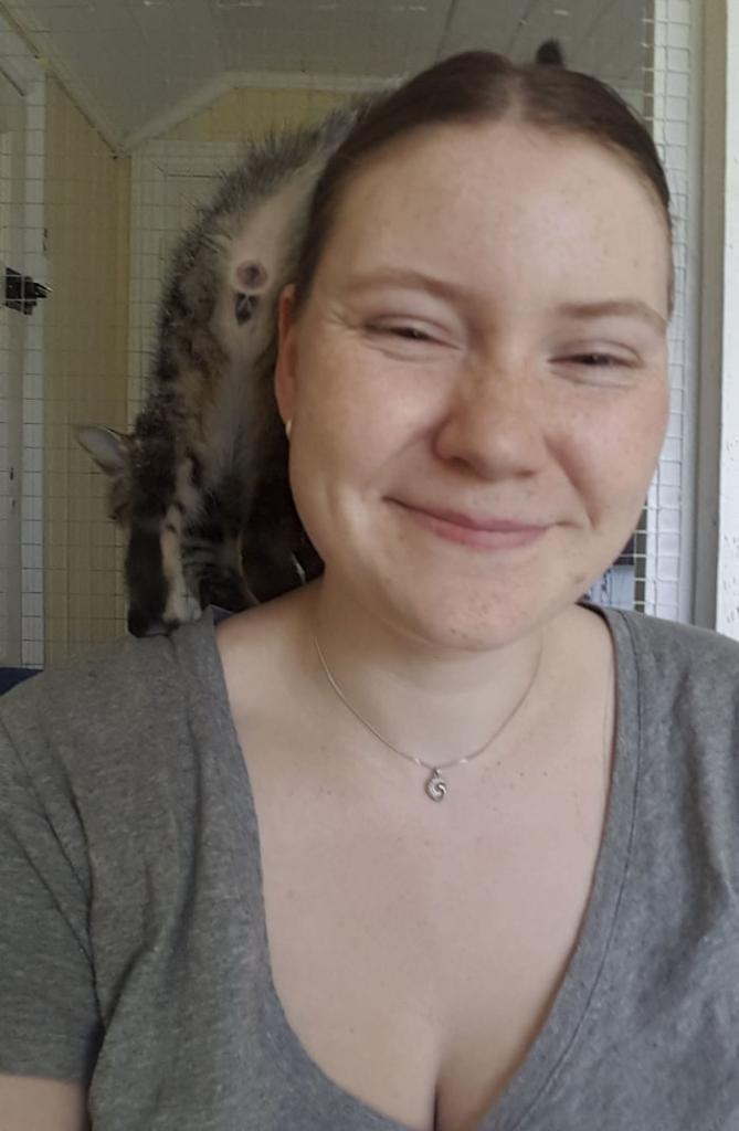 Волонтер в приюте для кошек откровенно рассказала о минусах своей работы