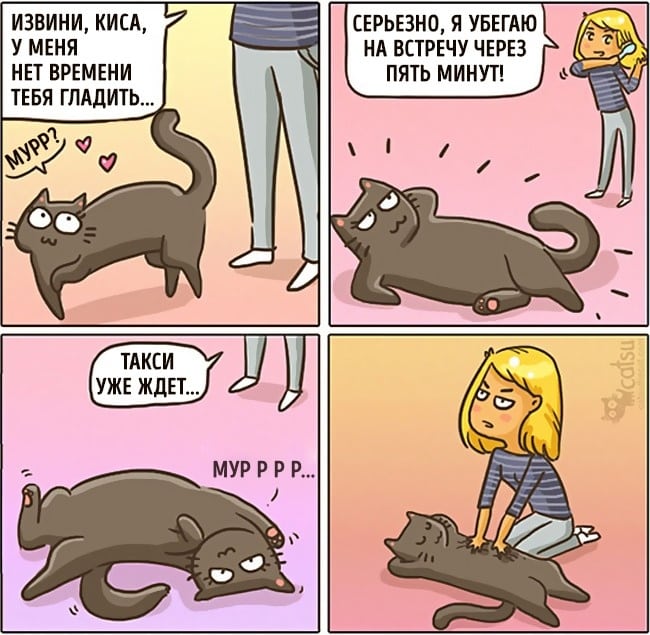 Как меняется жизнь с котом