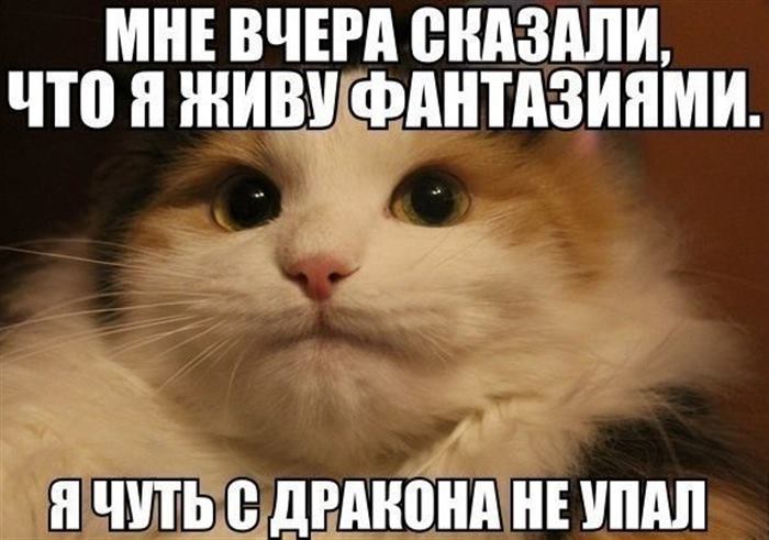 Крутые мемы с котиками, с которыми день будет прожит не зря