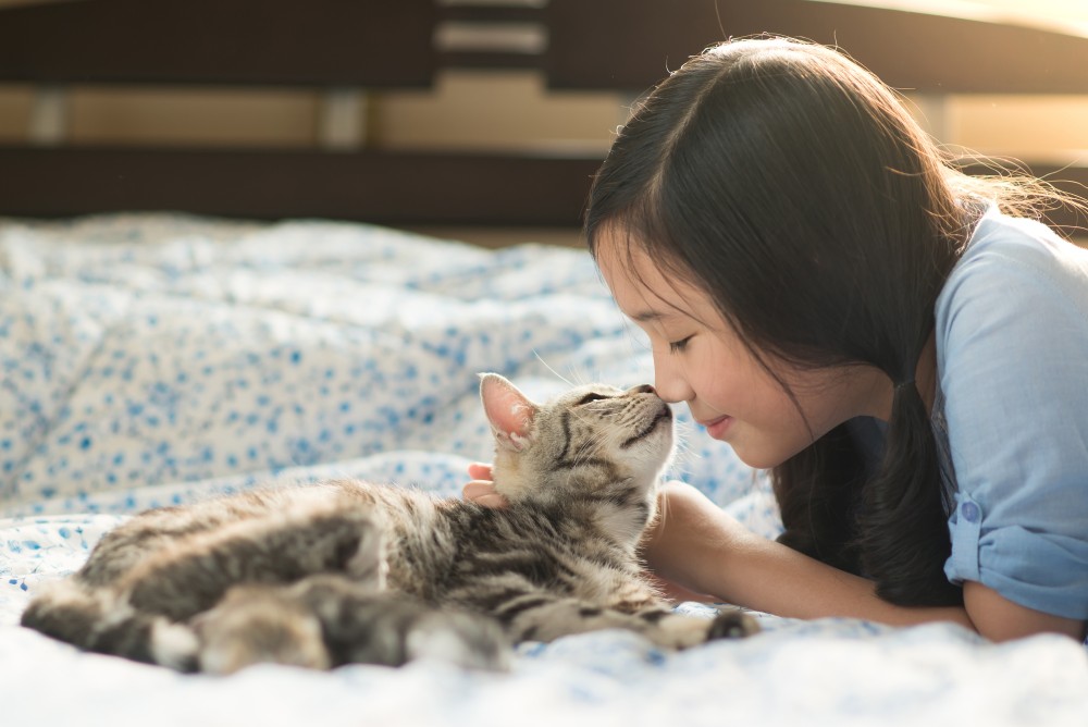 Как определить, что коты демонстрируют вам свою любовь