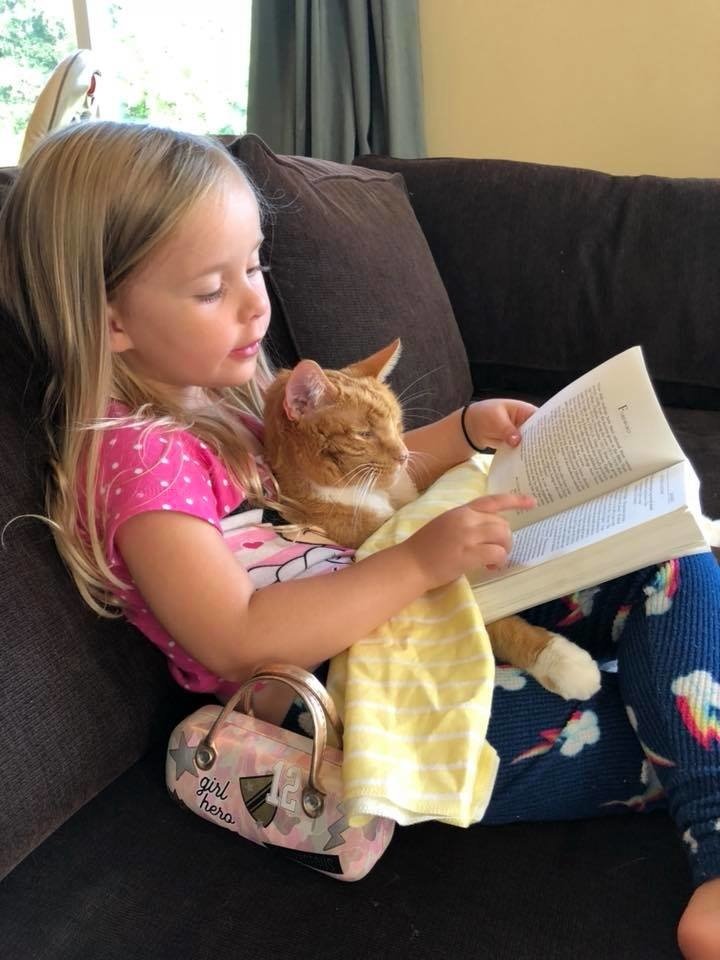 Женщина дала котёнку дом, 13 лет спустя он охраняет её дочь и помогает ей учиться читать