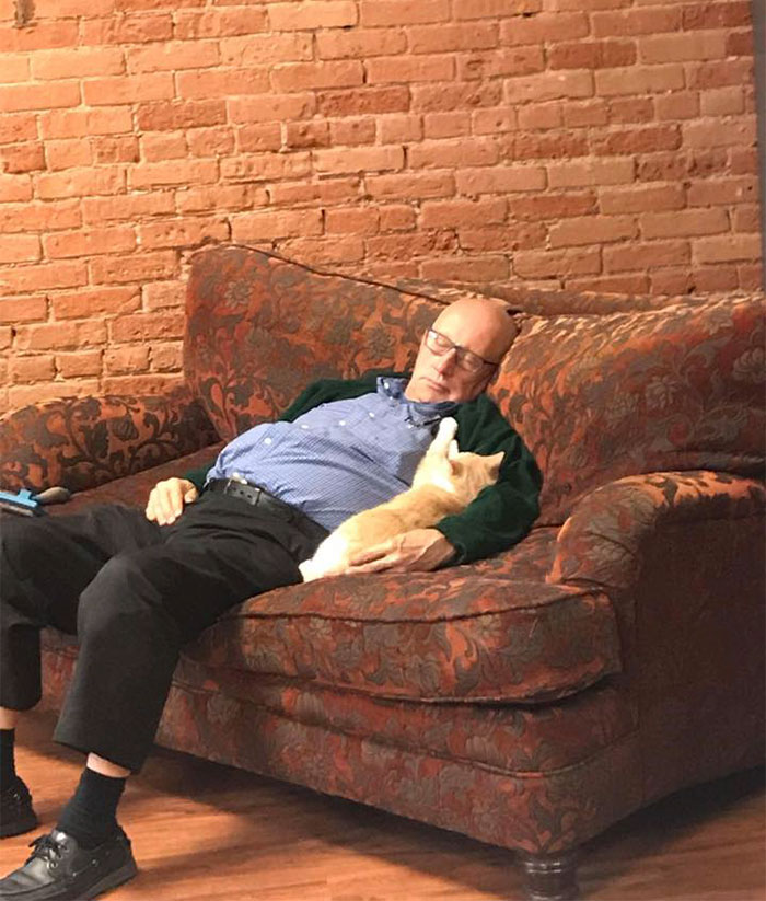 Новый кумир Интернета: старик, который дремлет с кошками в приюте для животных