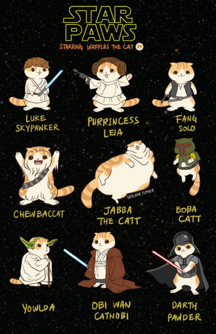 Коты Звёздные войны