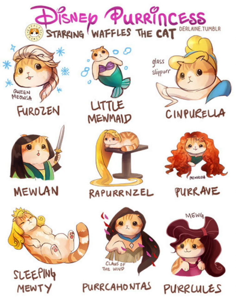 Иллюстратор показал, как бы выглядели известные персонажи, если бы были котиками