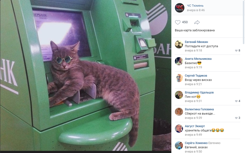 «Погладьте кот доступа»: в Тюмени котик улёгся на банкомат