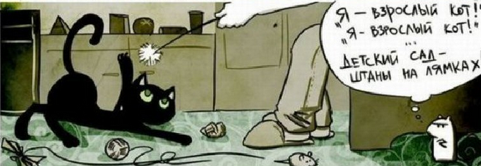 Анекдоты про котов и мышей