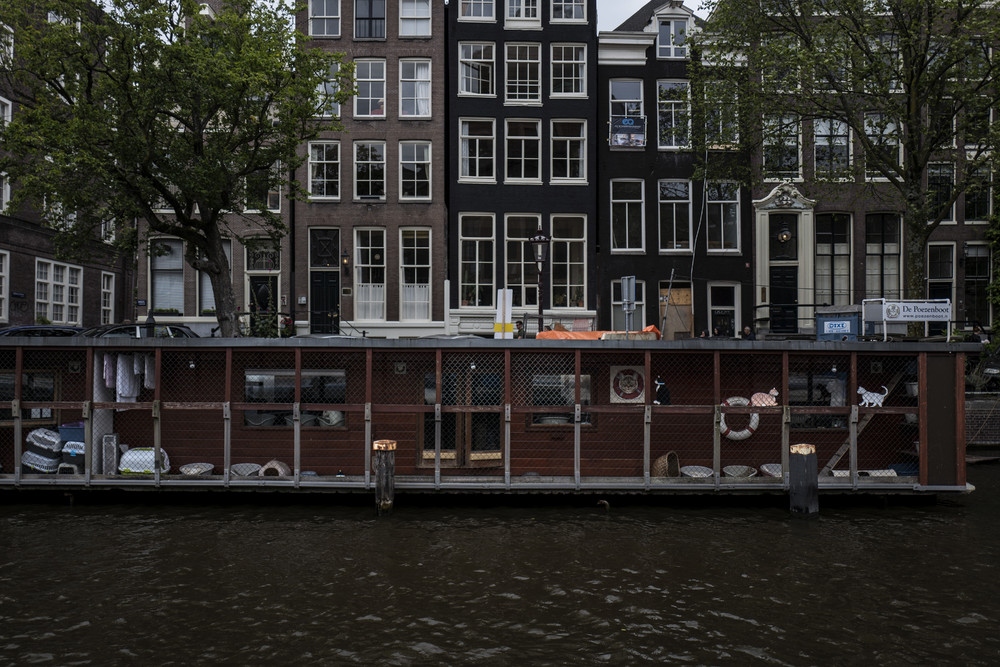 Плавучий приют для кошек в Амстердаме