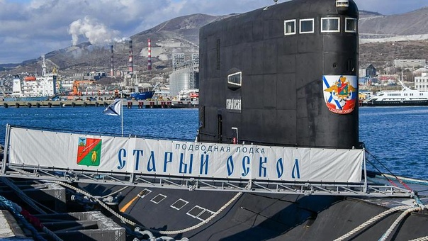 Котята рожденные на глубине 200 м, станут новыми талисманами ВМФ России