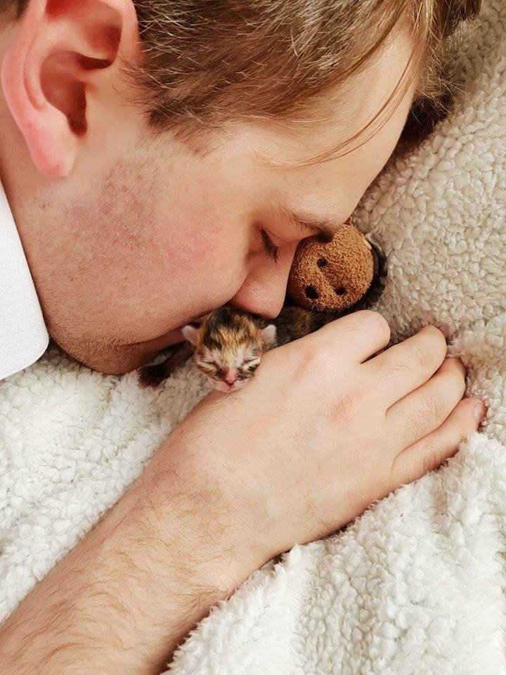 В Австралии люди выходили крошечного котенка, размером меньше ладони