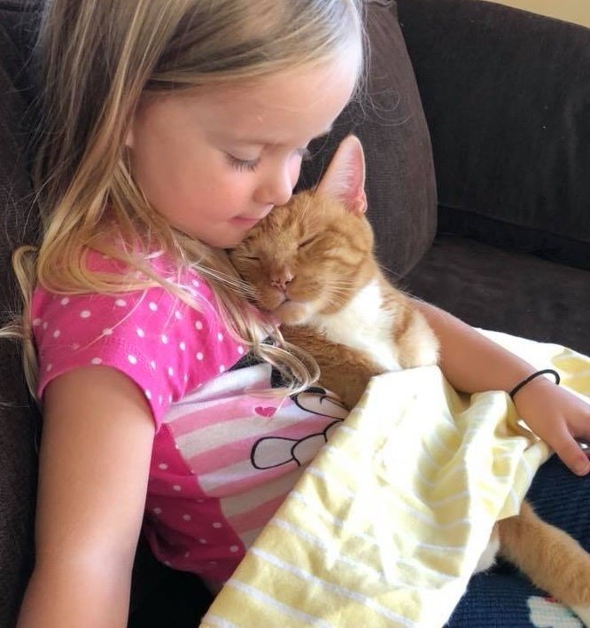 "Сказка для Бейли": нежная дружба кота и девочки