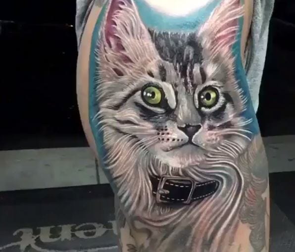Девушка решила сохранить память о своём коте навсегда и сделала тату с его изображением
