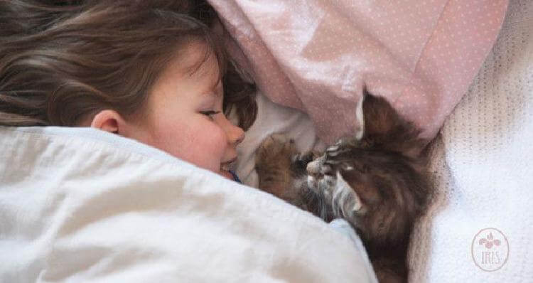 7-летняя девочка-аутист и её кошка лучшие друзья