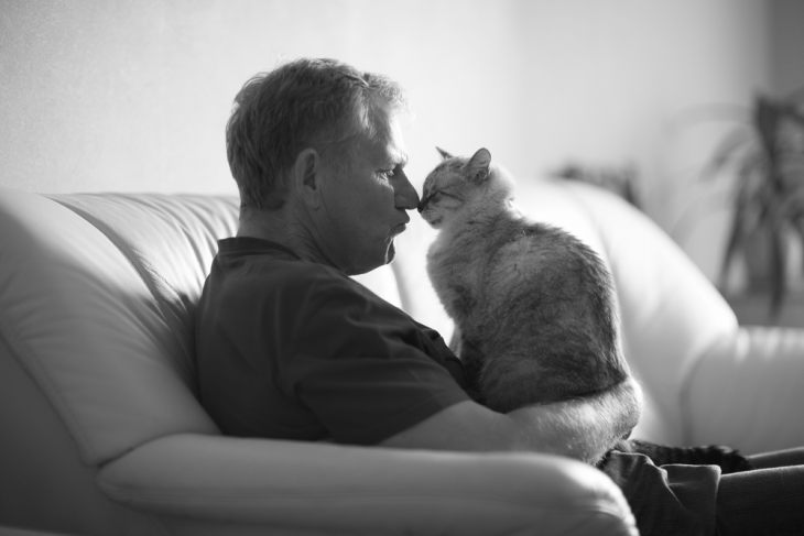Гомеопатия для кошек: стоит ли использовать гомеопатические препараты