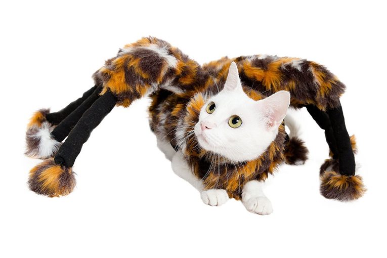 Костюмы для кошек на Хэллоуин: лучшие идеи