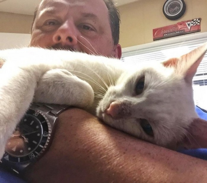 Житель Оклахомы подкармливал уличную кошку, а потом она привела к нему двух своих котят