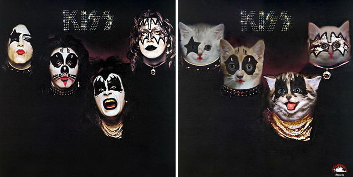 Обложки музыкальных альбомов с котятами Alfra Martini